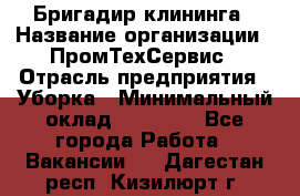 Бригадир клининга › Название организации ­ ПромТехСервис › Отрасль предприятия ­ Уборка › Минимальный оклад ­ 30 000 - Все города Работа » Вакансии   . Дагестан респ.,Кизилюрт г.